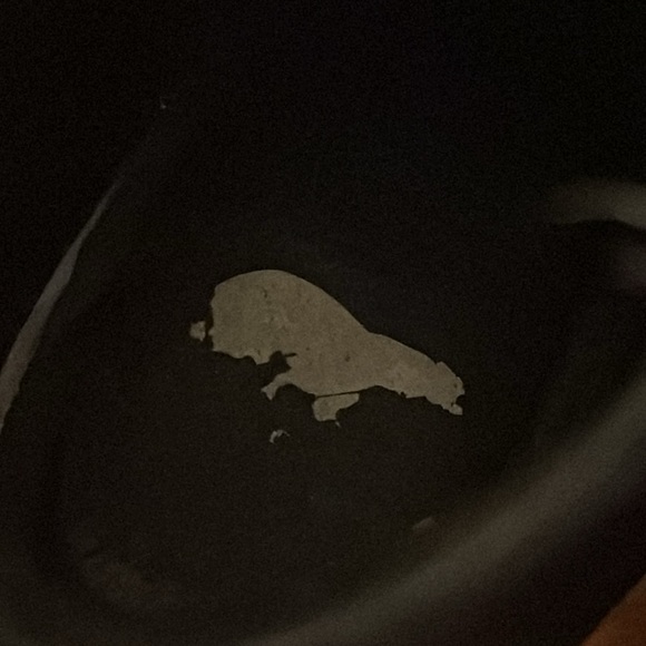 Sorel Joan Uptown Lace Up With Zipper Size 8 - Picture 7 of 8